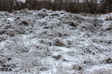 winter landscape with snow