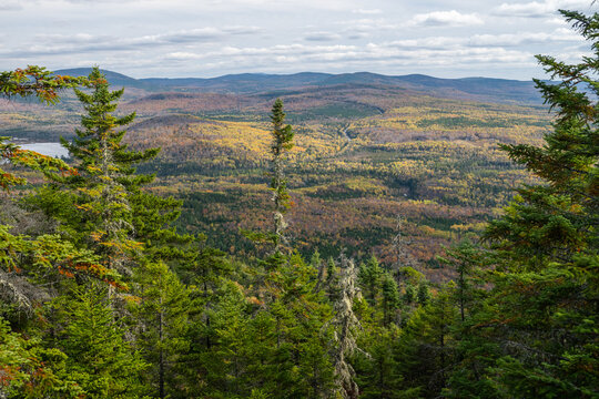 View from Bald Mountain, near Rangeley, Maine
