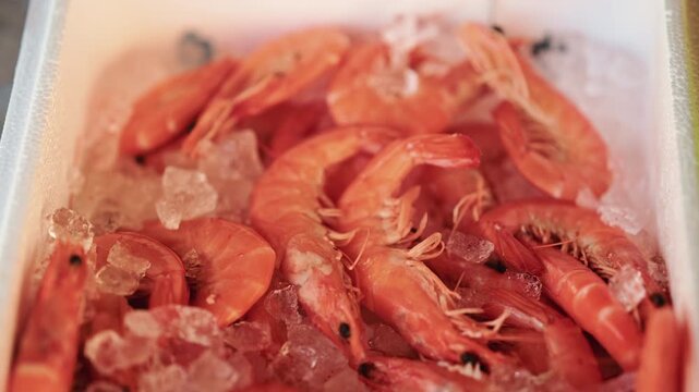 Close up of shrimp densely packed in a foam box with ice crystals