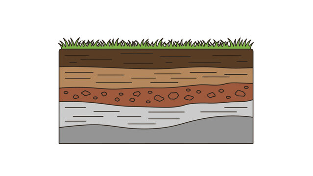 Soil Profile Cross Section Illustration with Layers and Grass
