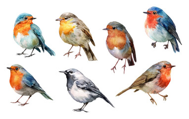 Watercolor bird illustration set featuring realistic vector characters: plover, swift, spoonbill, godwit. Spring birdwatching collection with migratory birds. Vector illustration. © Narin