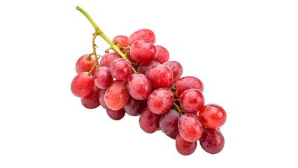 Fototapeta premium Fresh grapes for harvest and enjoyment during the summer season in a garden on a transparent background.