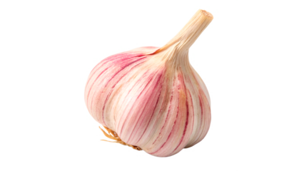 On a transparent background is a head of garlic with purple skin