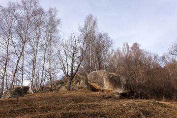 hay bales in the field