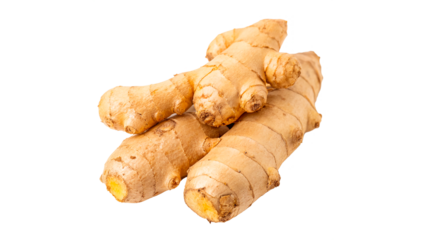 Ginger roots placed together showing their textured skin and distinct shapes isolated on transparent background cut out