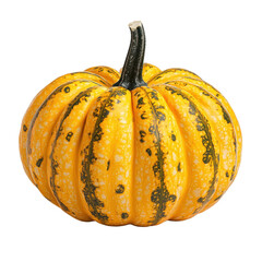 Small yellow pumpkin on transparent background
