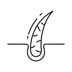 Healthy hair root icon linear vector design follicle sparkle dermatology symbol strong growth trichology beauty outline illustration element