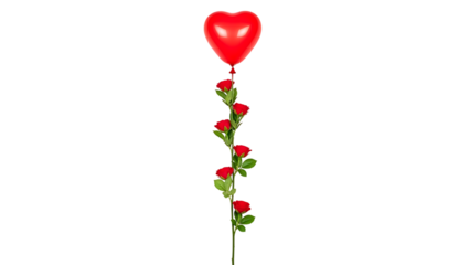 Red rose stem with heart-shaped balloon