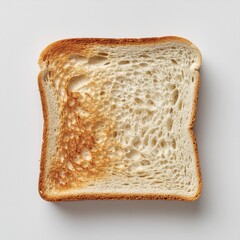 Perfectly Toasted Slice of Bread