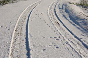 trace de v&eacute;hicules sur route enneig&eacute;e