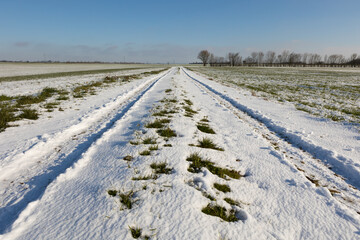 chemin de campagne enneig&eacute;