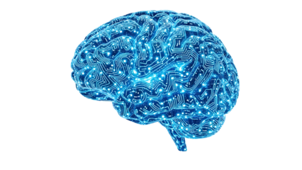 Blue Circuit Brain Illustration