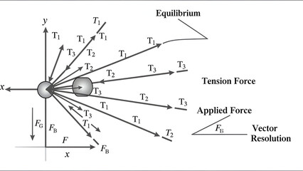 Physics Diagram of Force Vectors and Equilibrium