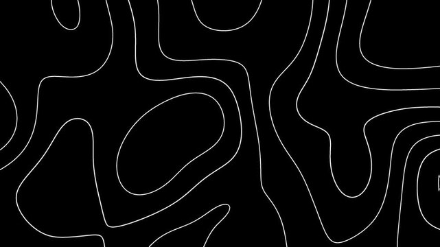 Minimal black background with flowing white contour lines forming abstract topographic waves, modern geometric motion ideal for maps, tech visuals, and clean transitions.