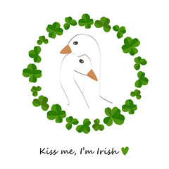 Goose couple in clover leaves wreath. Cute Hugging birds in shamrock foliage frame isolated vector illustration. Design element for Saint Patrick Day isolated on white.