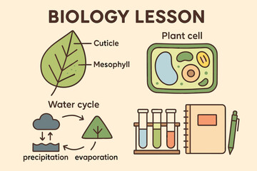 Biology lesson diagram with plant cell, leaf structure, water cycle, and laboratory equipment
