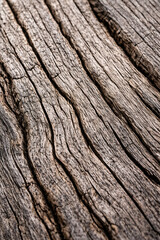 Weathered Wood Grain Texture with Deep Natural Cracks, Rustic Timber Surface Background Showing Organic Lines, Aging Wood Detail for Nature, Sustainability, Design, Craft, Environment Concept and Prem