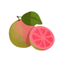 Modern flat 2D vector illustration of a Guava, minimal design style on a white background.
