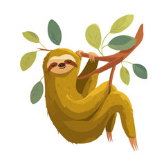 Sloth, clean 2D vector flat illustration in minimal and modern style on a white background.