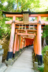 Tori Gate in Kyoto, Japan. 22 June 2025