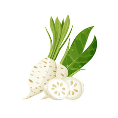 Clean 2D flat vector depiction of a Arrowroot, designed in minimalist modern style with white background.