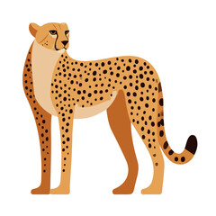 Cheetah flat vector illustration in a modern and simple 2D style, placed on a white background.