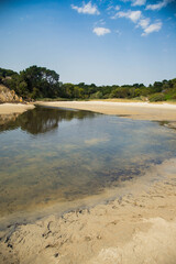 View of Anse de Rospico, a beach surrounded by green cliffs that gets flooded by tide. Nevez, Finistere, Brittany, France. Vertical shot, no people.