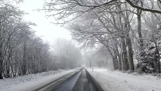 View from a car driving on icy road in winter , trees covered with snow 