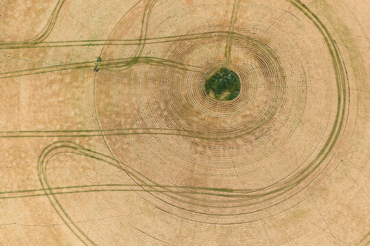 Aerial view of  circular wheel tracks in a farmers drying crop