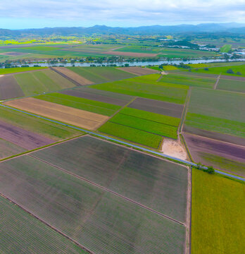 Aerial view of Cane farms between Condong and Murwillumbah