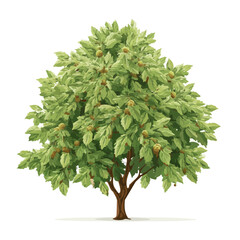 A simple and modern flat 2D vector of a Chestnut Tree, isolated on a pure white background.