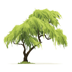 A simple and modern flat 2D vector of a Tamarisk Tree, isolated on a pure white background.