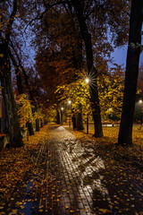 Paved pathway illuminated by streetlights in autumn park at dusk, surrounded by trees with colorful fallen leaves. Serene evening outdoor scene for calm mood.