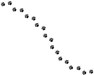 Paw print of dog, cat walk foot print, puppy pet footprint. silhouette animal diagonal tracks for t-shirts. Seamless texture pattern