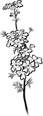 Hand drawn verbena branch vector line art