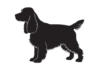 Cocker Spaniel Spaniel in silhouette white background.