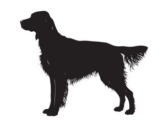 Gordon Setter in silhouette white background.