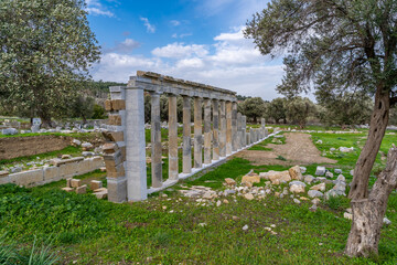 Fototapeta premium The Teos Ancient City view in Seferihisar Town of Turkey