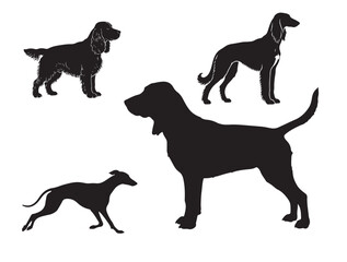 Hounds dog in silhouette image white background.