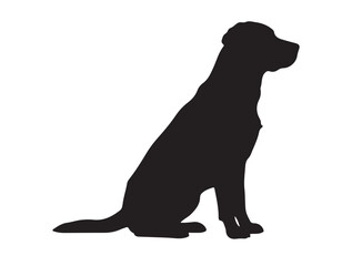 Labrador Retriever dog in silhouette white background.