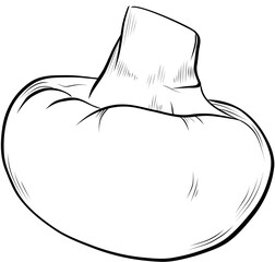 Hand drawn champignon mushroom vector sketch isolated