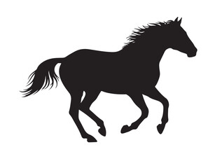 Obraz premium Quarter Horse in silhouette white background.