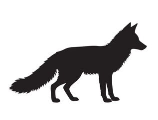 Red Fox in silhouette white background.