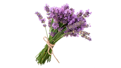 A bouquet of lavender tied with twine on a transparent background.