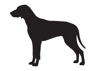 Weimaraner in silhouette white background. 