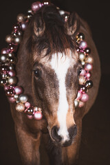 Pferd mit Weihnachtskugelgirlande