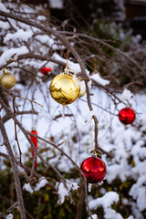 Coloured baubles outside on a garden tree in an English village in winter snow