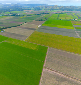 Aerial view of Cane farms between Condong and Murwillumbah