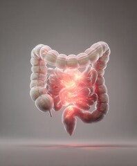 human intestine, subtle inflammation indicated by soft red glow
