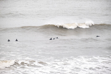 Surfers in winter in the North Sea